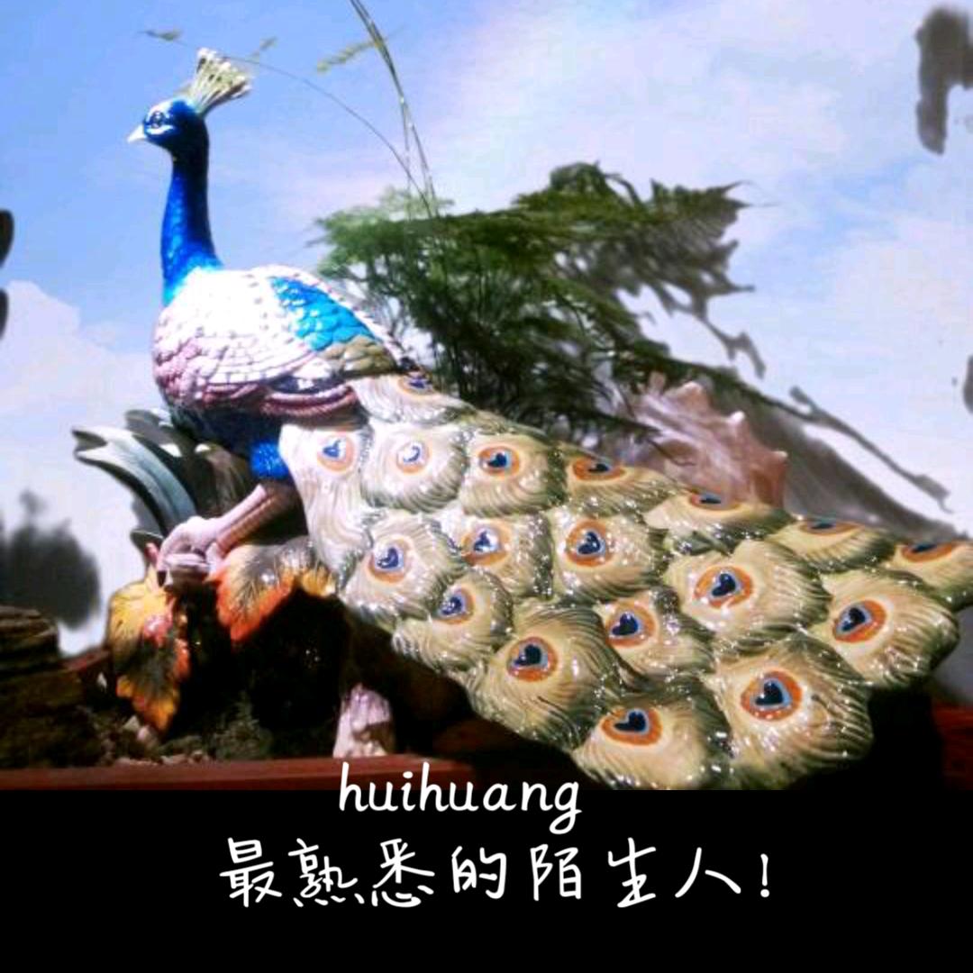 huihuang49433