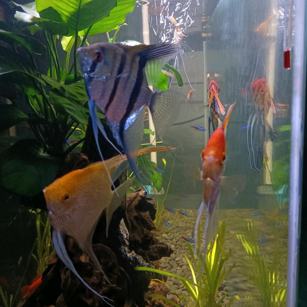 爱新觉罗·仁和