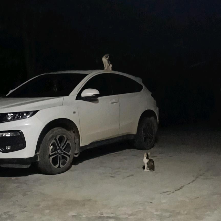 为梦而行(*^ω^*)