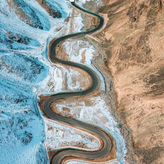 |｡･㉨･)っ♡终无悔