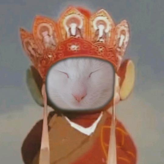 zizi不打呼