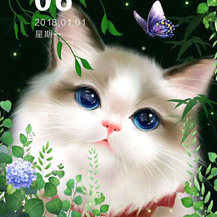 狐狼