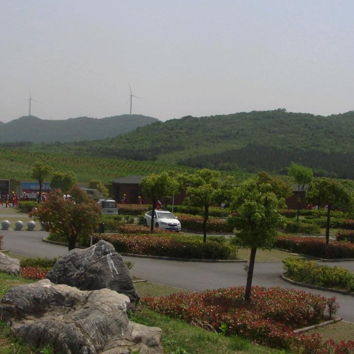 红膏精品大闸蟹