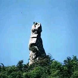 红姐在鲁山