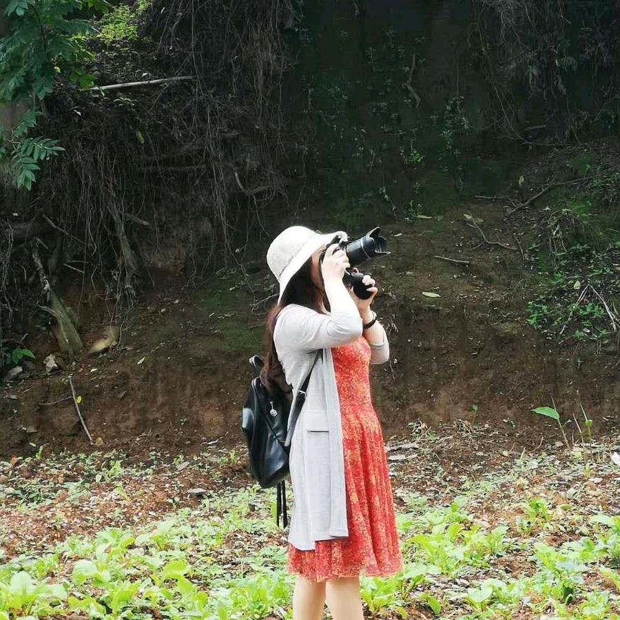 一页时光