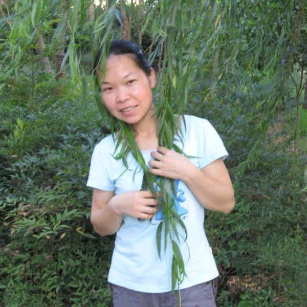 @乡下亲戚