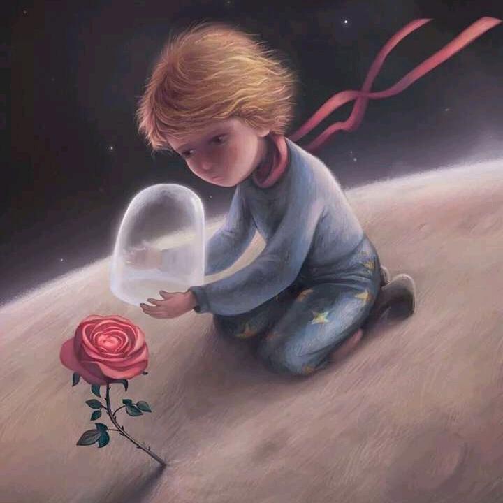 劉劉-王者荣耀