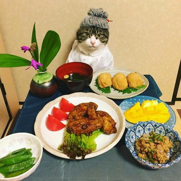 天天旅食