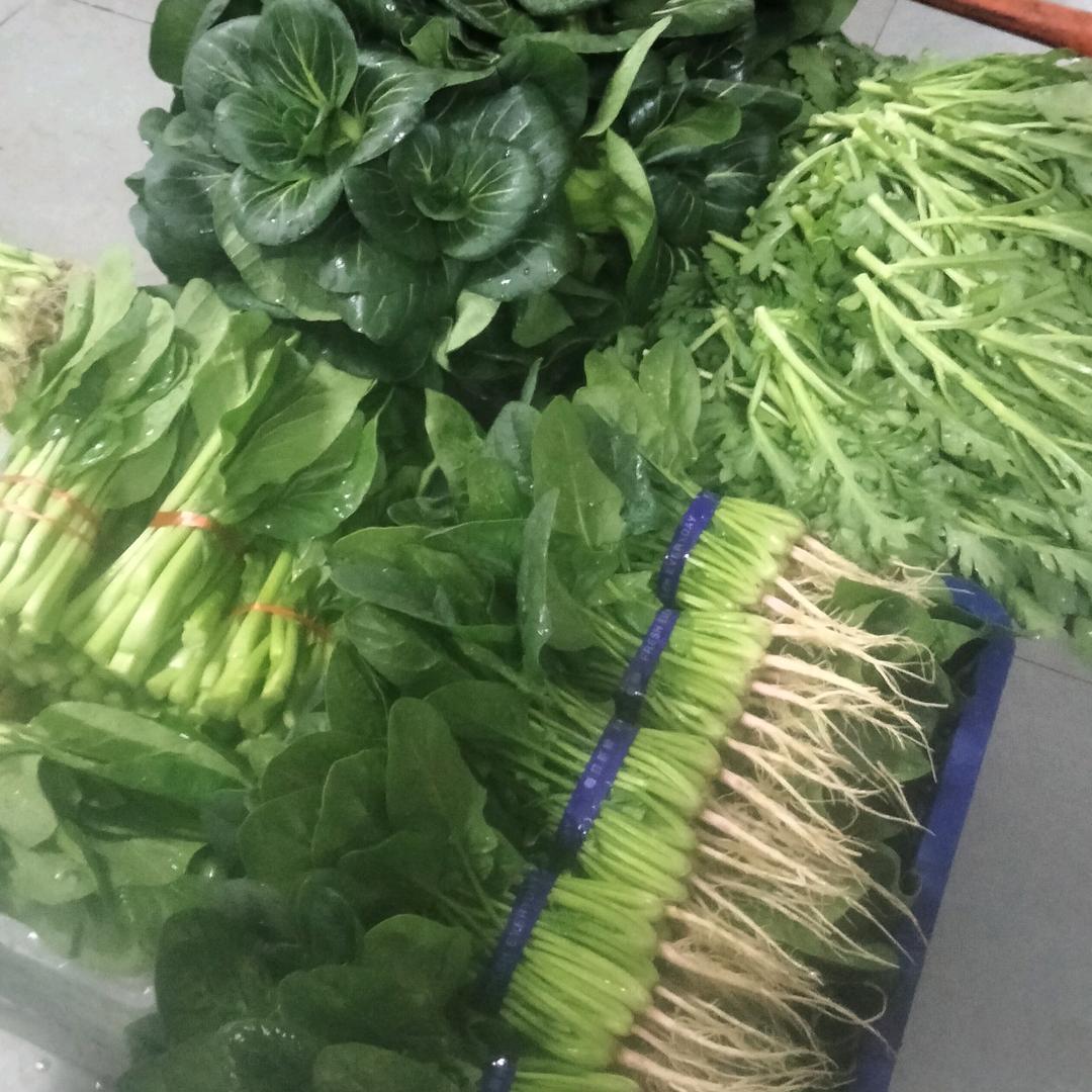 青春无限