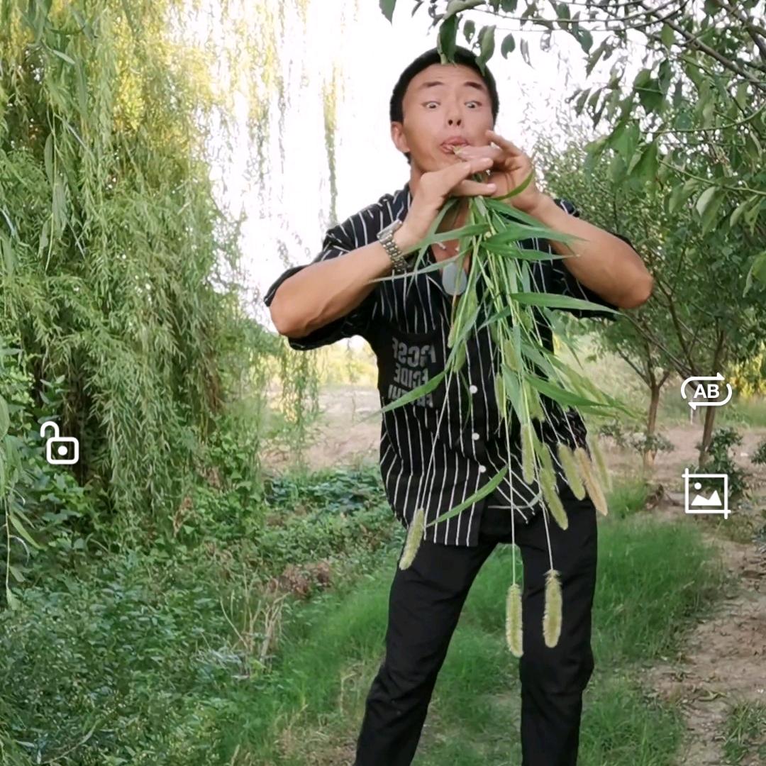 小李兵（歌唱追梦人）