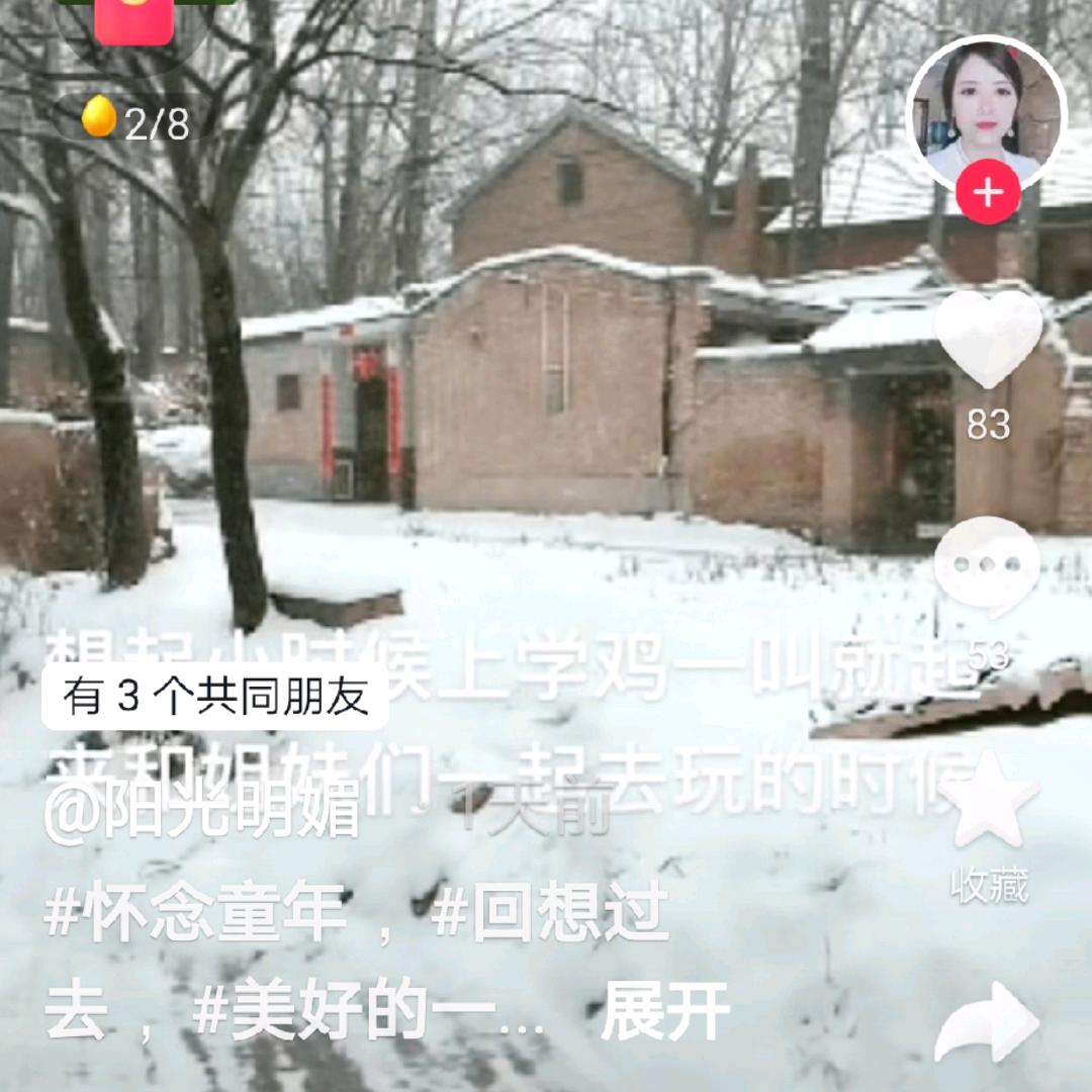 劲松
