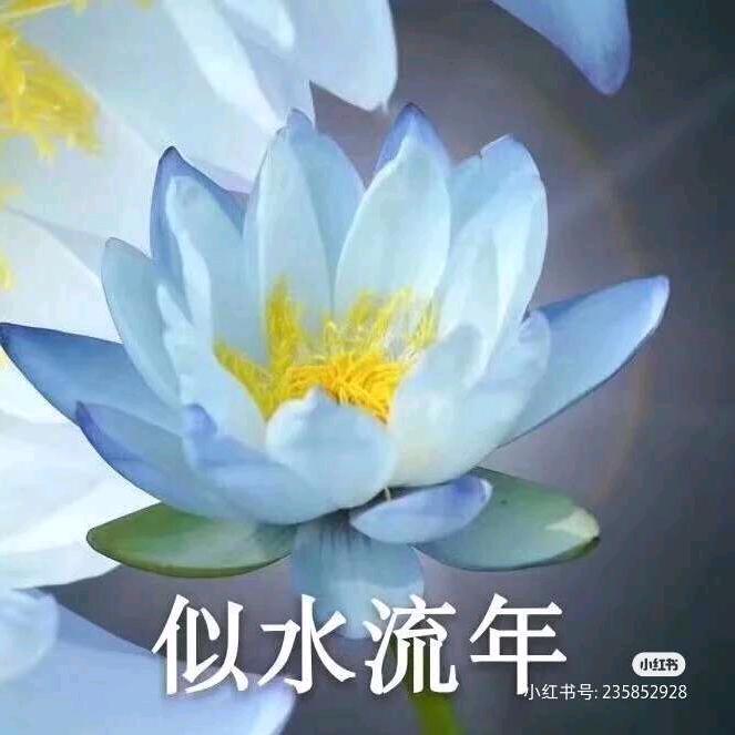 糖宋