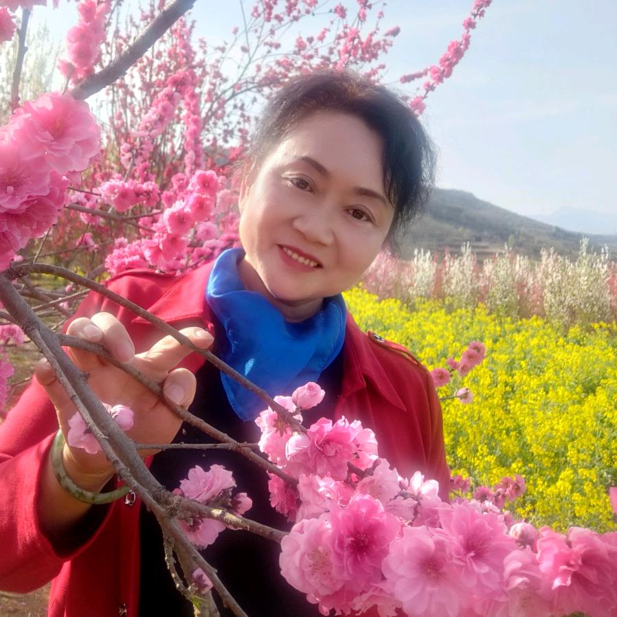 灵芝..