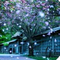 ꩵ࿌ོ࿆陈蒙💖陶爱ོ₅₂ₒཹ࿐