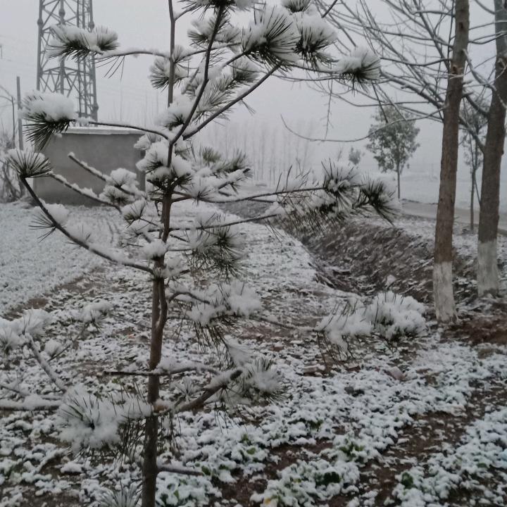 刘刘刘梁庄