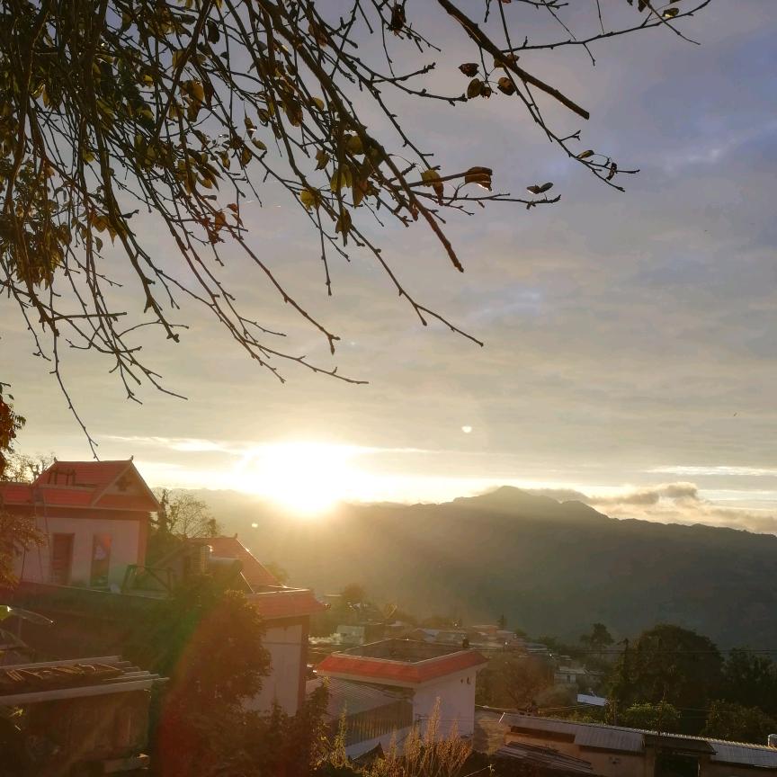 普普大叔$阔步$钱行$