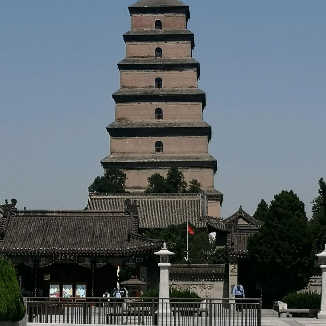 快乐哥