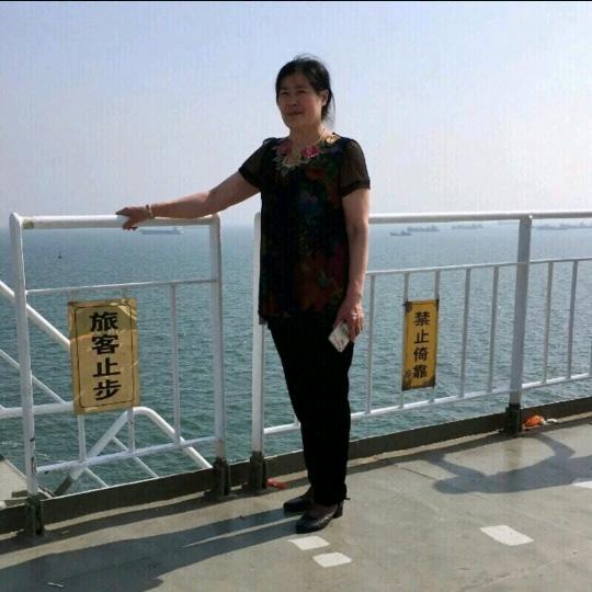 琴