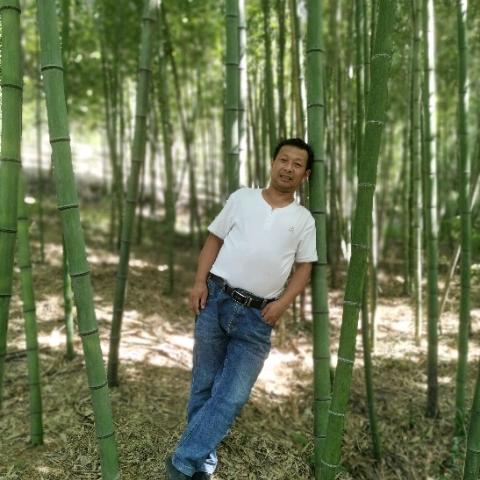 感恩的心