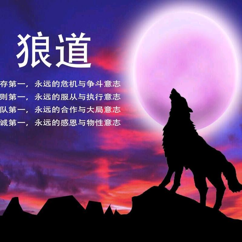 深造未来头像