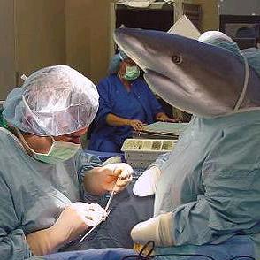 泰安非人类研究中心孙主任