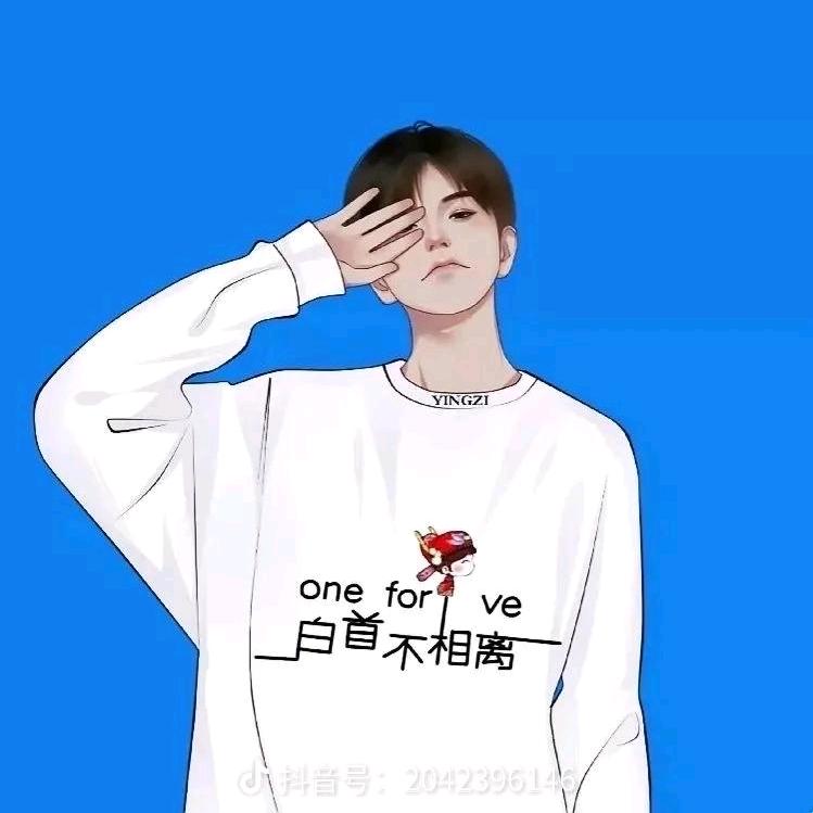 王者荣耀  豆豆猫