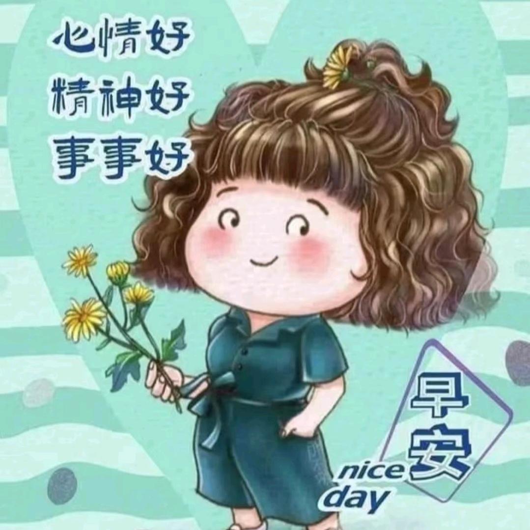 龙宝宝