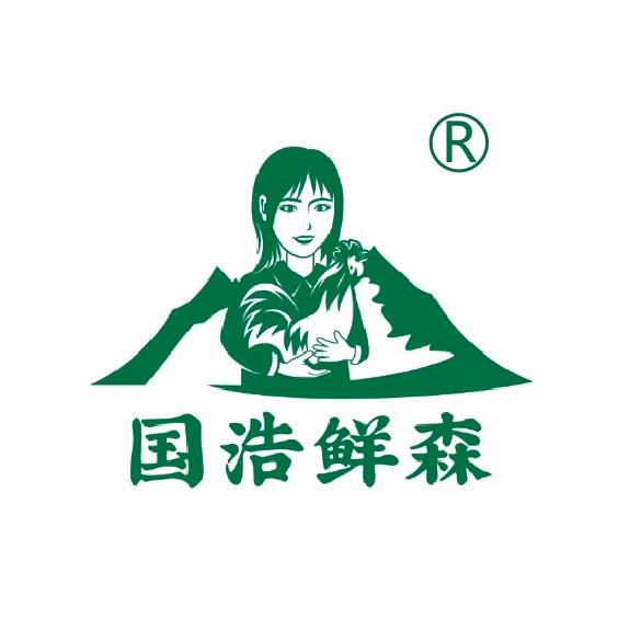 国浩鲜森