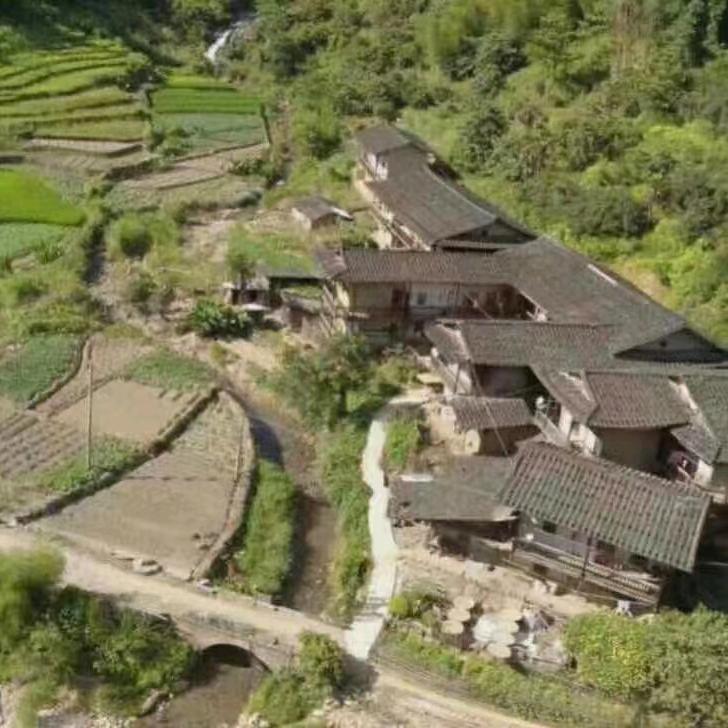 福州: 林 哥