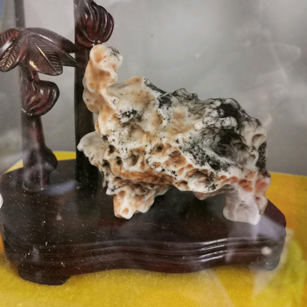 天  天