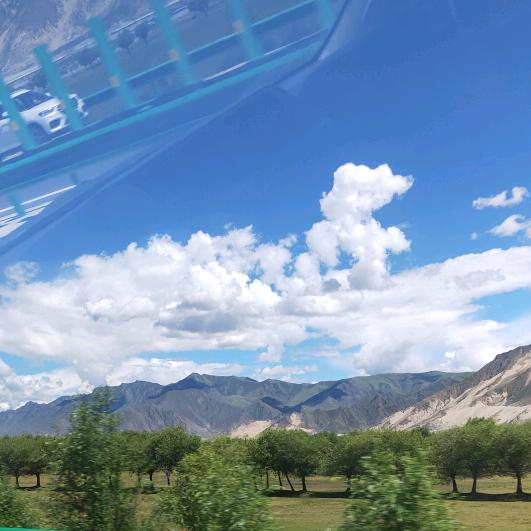 熙熙妈妈🌹🌹