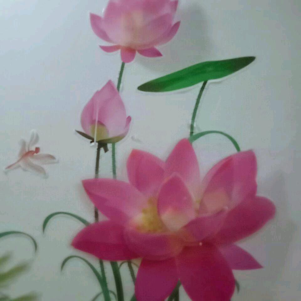 玥儿,雅,鋆抱成团