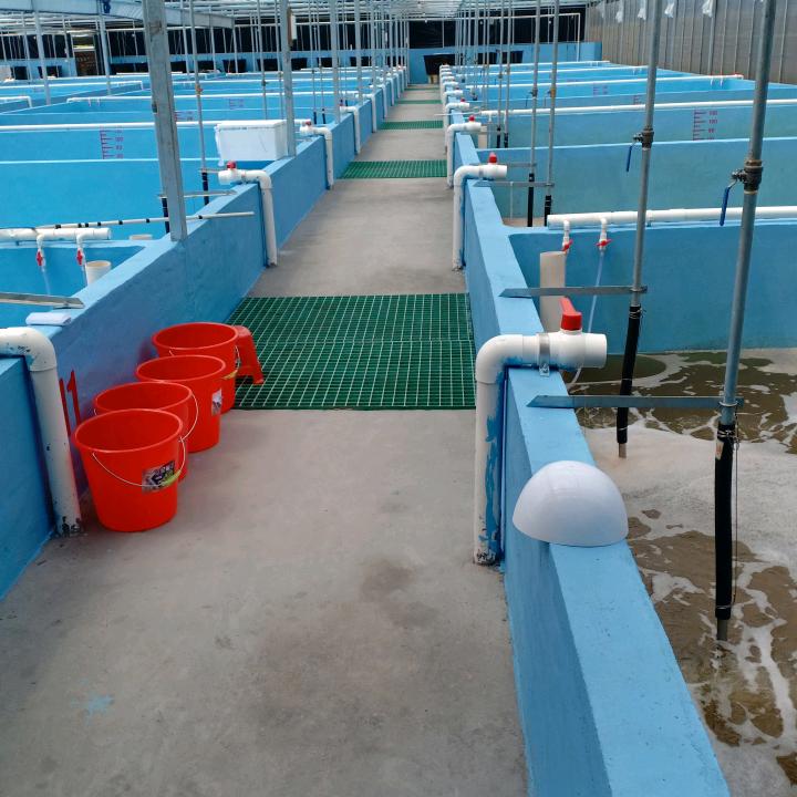 邵氏水产
