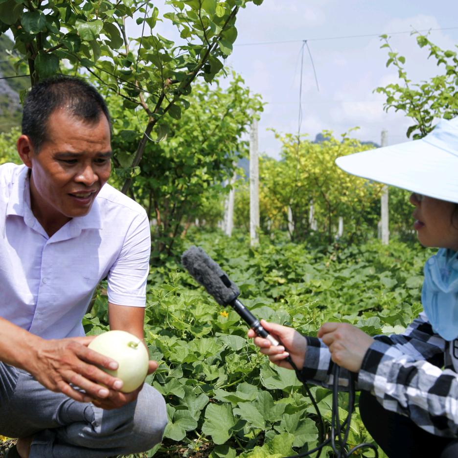 来宾市兴宾区农汇源果蔬种植农民专业合作社
