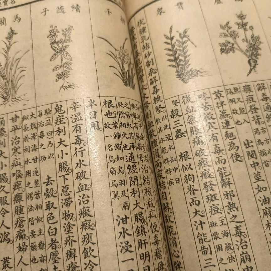 医品茅菴