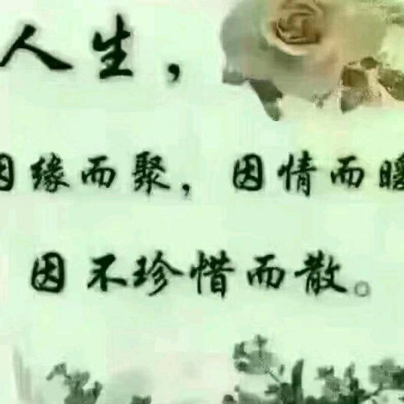 是谁的谁心疼
