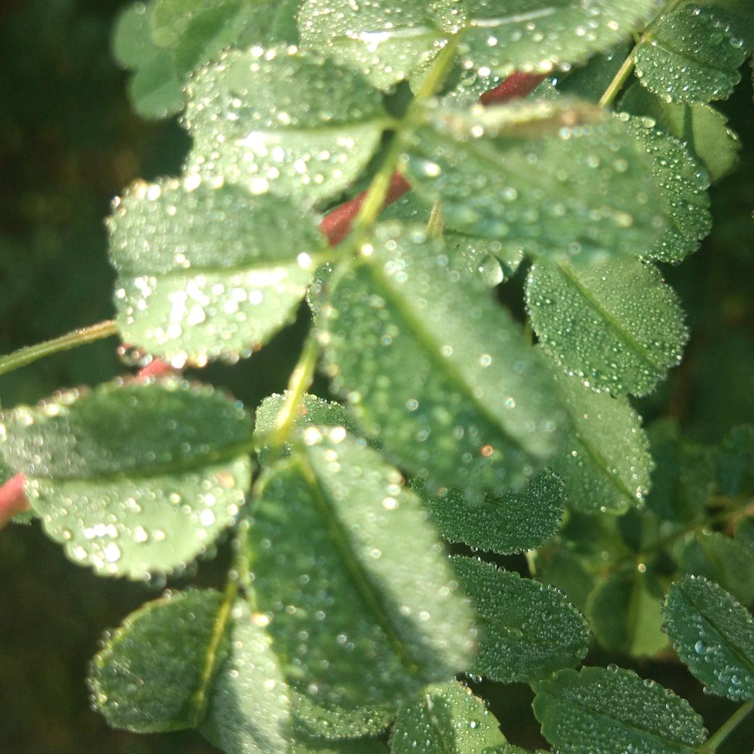 平衡安宁岁月靖皓