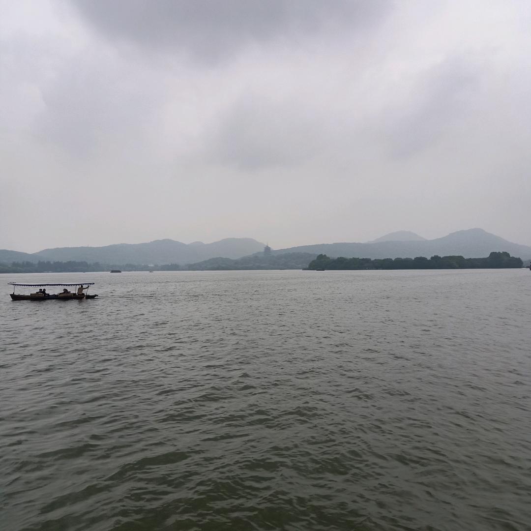 再见只是陌生人