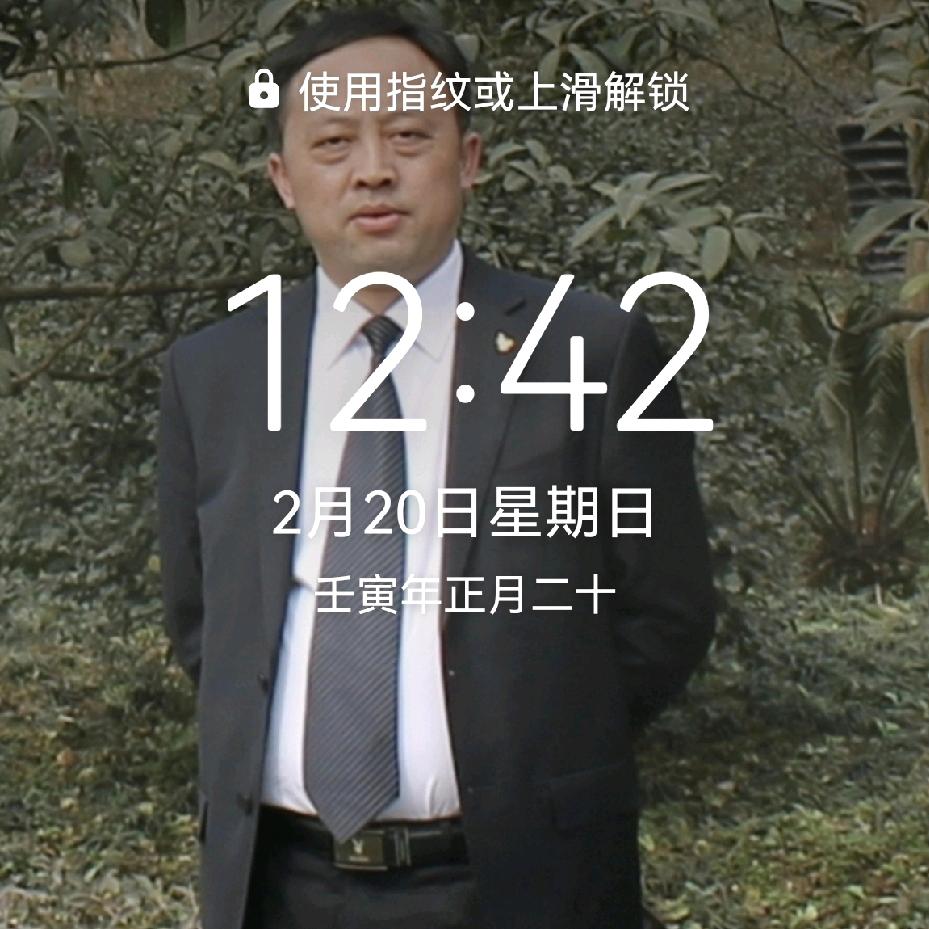不是我