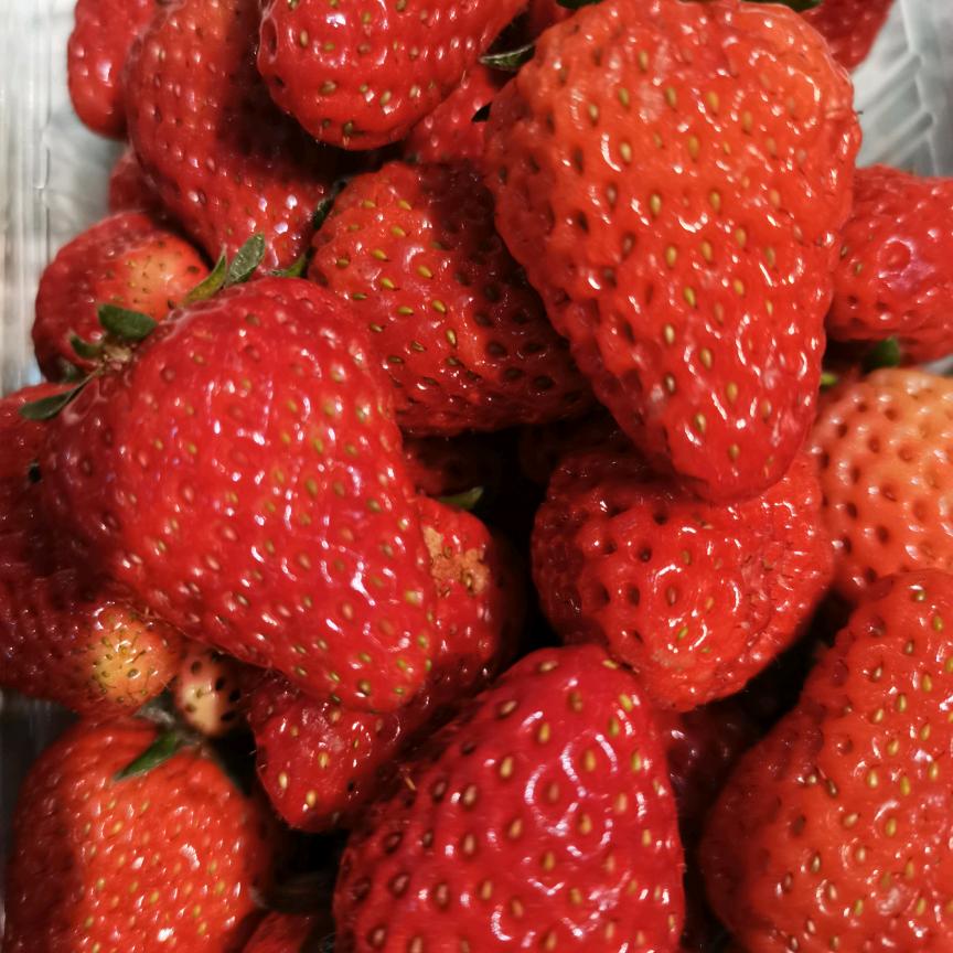 女人中的战斗机