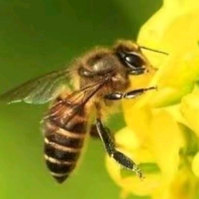 益華電子工程維修中心！