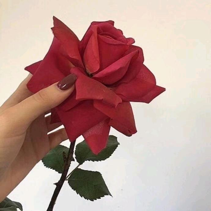财神爷偏爱