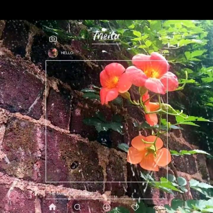 风轻云淡