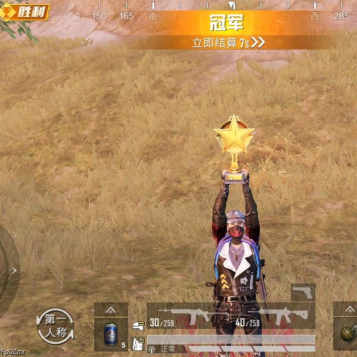 皇族华叔