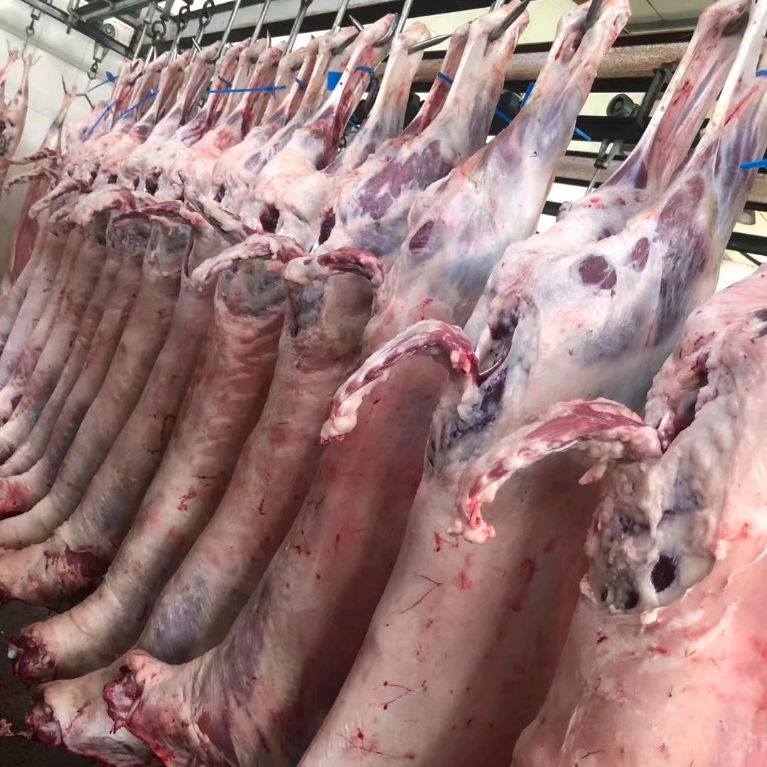 烧烤火锅食材工厂