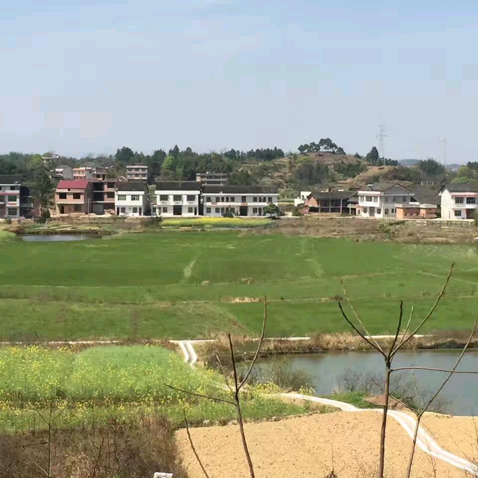 赞老板
