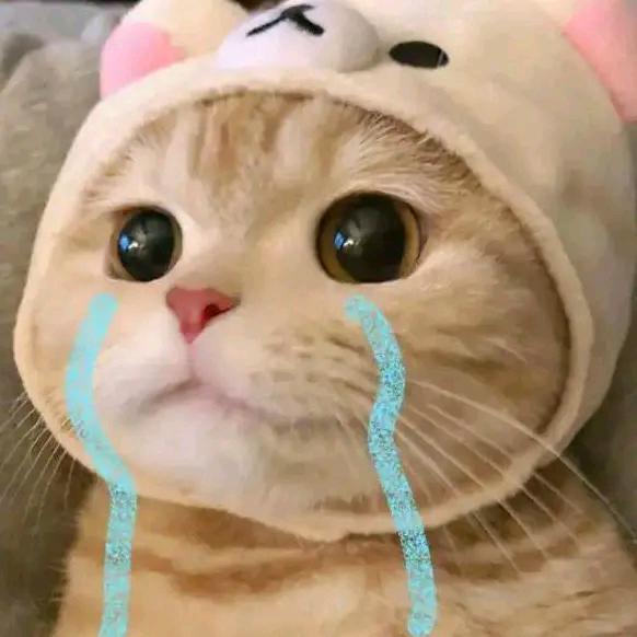 Sᴜɴɴʏ ᴅᴀʏ .