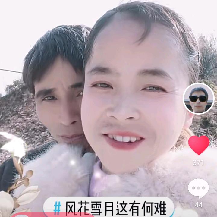 舒相元