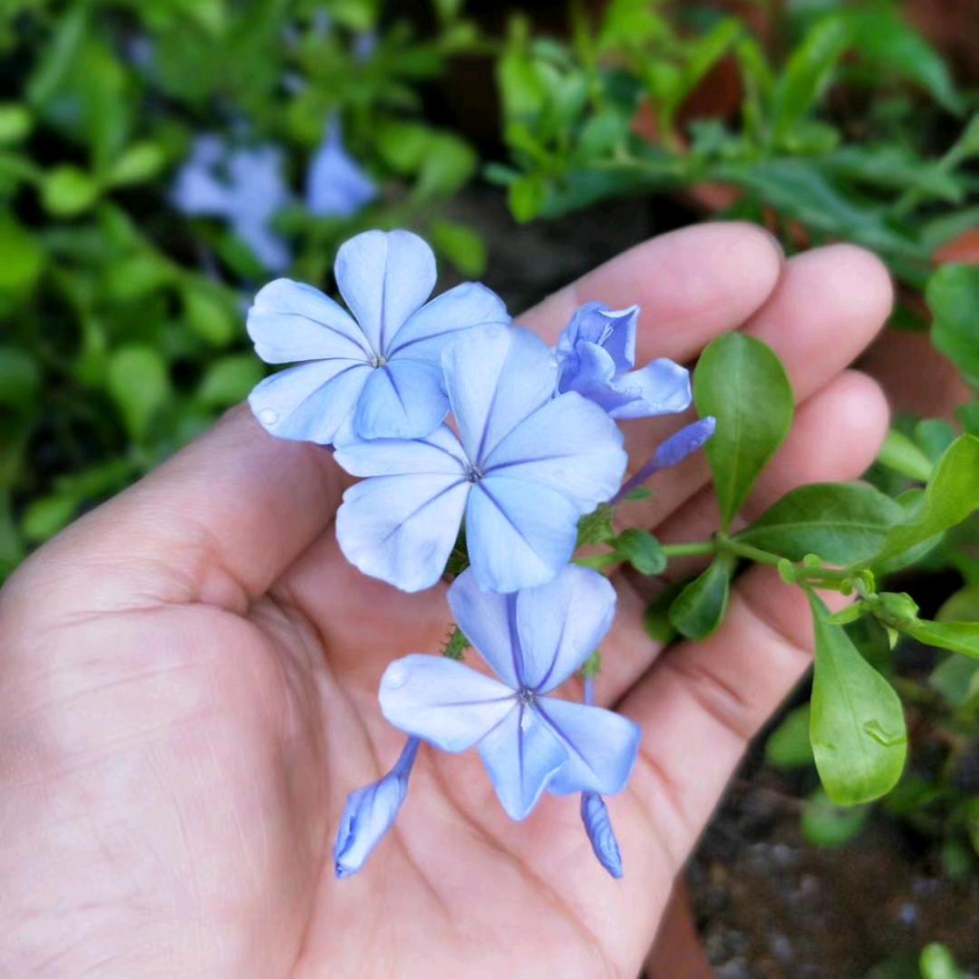 ❤静心  不负时光