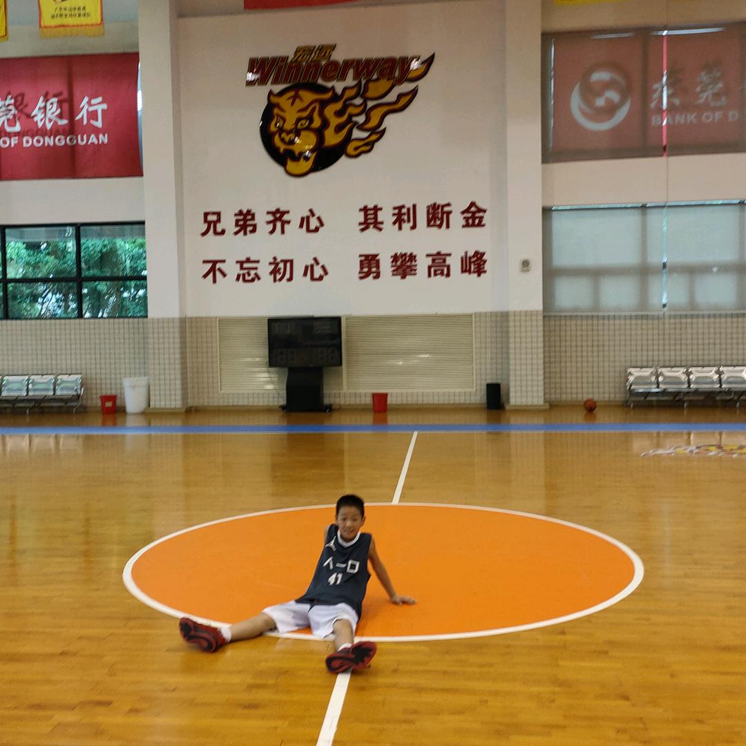 球球哥
